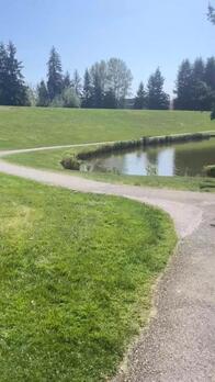 Image of a green open space with trails running through.